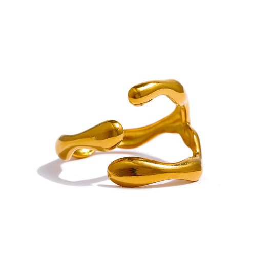 NO:53 ring with 2 variants